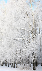 Similar image 1796210