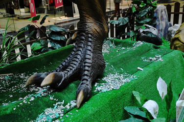 Similar image 1796246