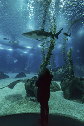 Similar image 1796312