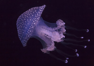 Similar image 1796313