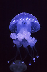 Similar image 1796314