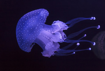 Similar image 1796315