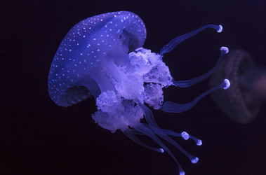 Similar image 1796316