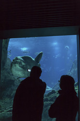 Similar image 1796319