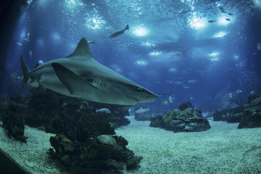 Similar image 1796321