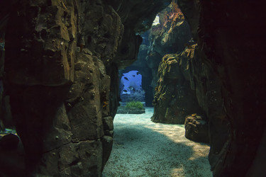 Similar image 1796322