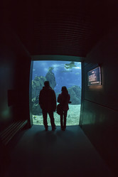 Similar image 1796324