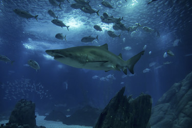 Similar image 1796325