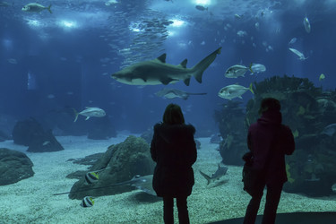 Similar image 1796329