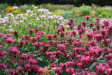 Similar image 1796371