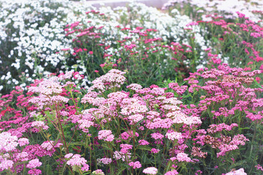 Similar image 1796372