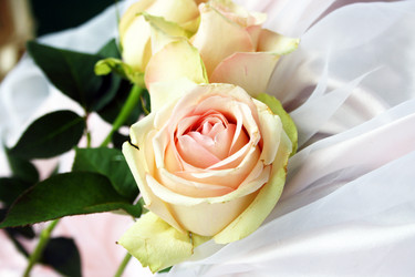 Similar image 1796392