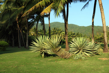 Similar image 1796395