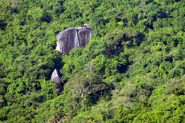 Similar image 1796396