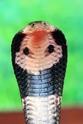 Similar image 1796397