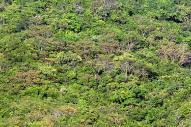 Similar image 1796398