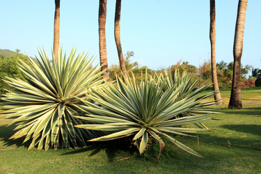 Similar image 1796403