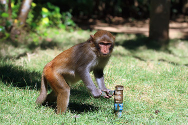 Similar image 1796411