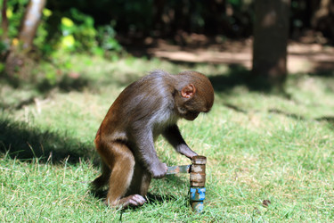 Similar image 1796412