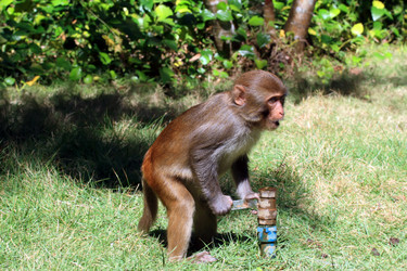 Similar image 1796414