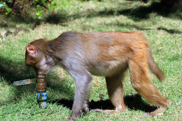 Similar image 1796415