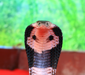 Similar image 1796421