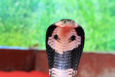 Similar image 1796422