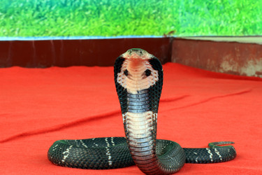 Similar image 1796426