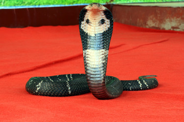 Similar image 1796427