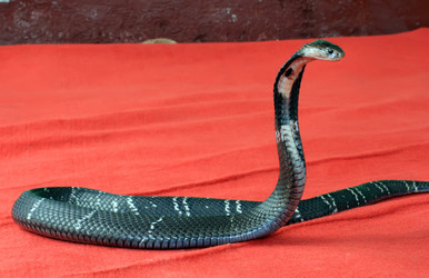 Similar image 1796428