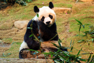 Similar image 1796433