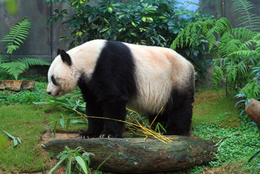 Similar image 1796434