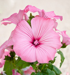 Similar image 1796918