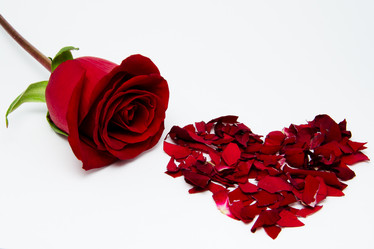 Similar image 1796948