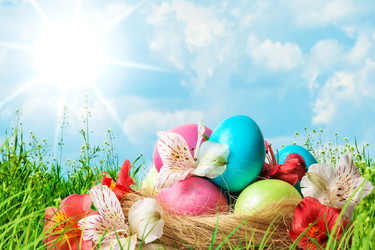 Similar image 1796971