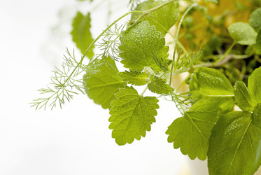 Similar image 1796978