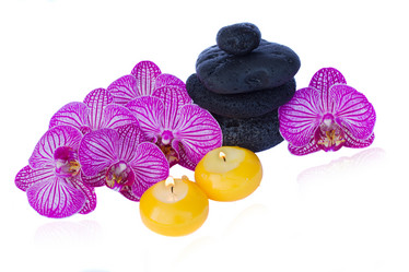 Similar image 1797064