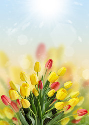 Similar image 1797215