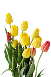 Similar image 1797219