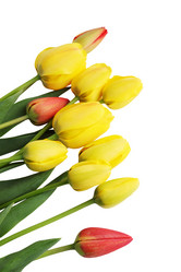 Similar image 1797223