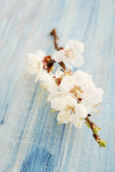 Similar image 1797226