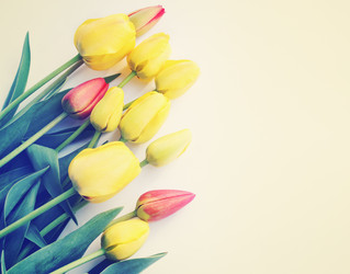 Similar image 1797229