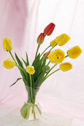 Similar image 1797245