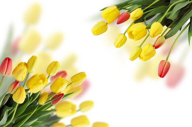 Similar image 1797250