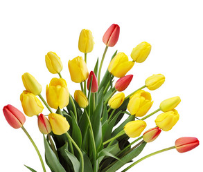 Similar image 1797256