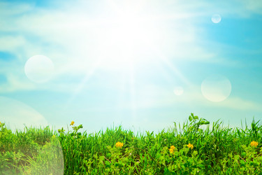 Similar image 1797259