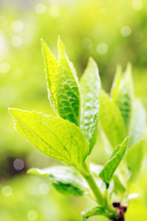 Similar image 1797276