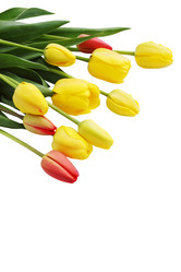 Similar image 1797288