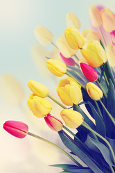 Similar image 1797291