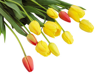 Similar image 1797308